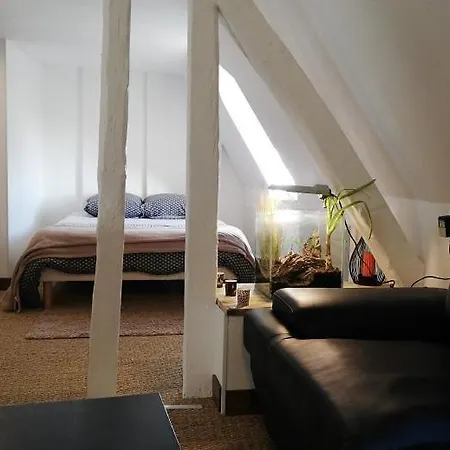 Bed & Breakfast La Belmontaise Beaumont-sur-Sarthe