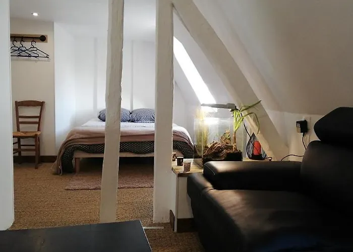 Couette-café La Belmontaise Beaumont-sur-Sarthe